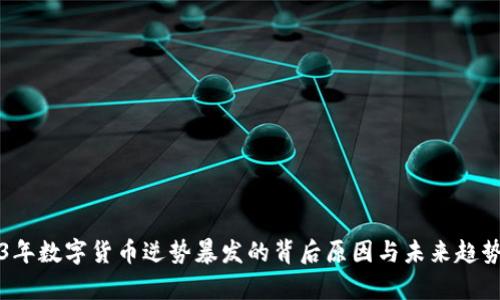 2023年数字货币逆势暴发的背后原因与未来趋势分析