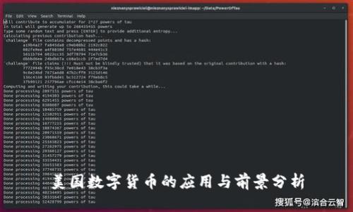 美国数字货币的应用与前景分析