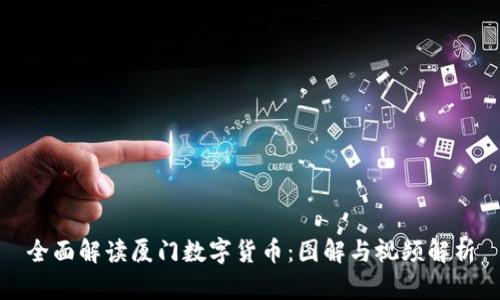 全面解读厦门数字货币：图解与视频解析