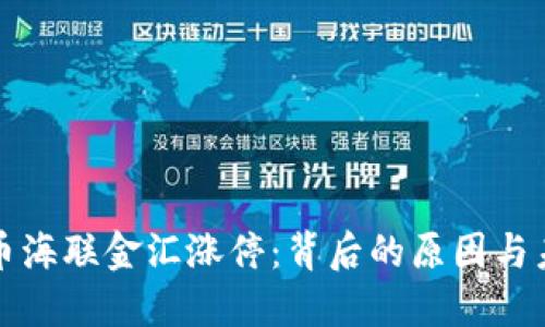 数字货币海联金汇涨停：背后的原因与未来展望