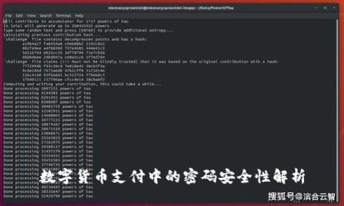 数字货币支付中的密码安全性解析