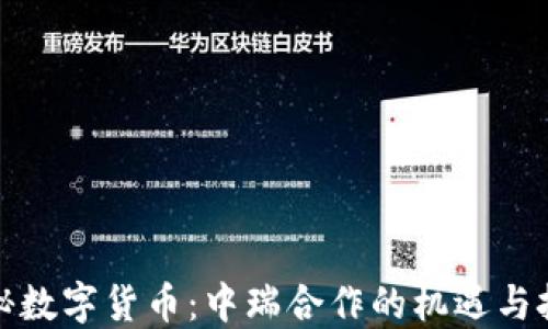 
揭秘数字货币：中瑞合作的机遇与挑战