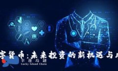 SHIS数字货币：未来投资的新机遇与风险分析