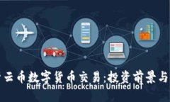 全面解析云币数字货币交易：投资前景与风险评