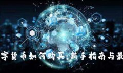 网络数字货币如何购买：新手指南与最佳实践