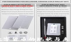 中国进口数字货币的现状与未来发展趋势