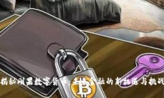 揭秘刚果数字货币：未来金融的新机遇与挑战