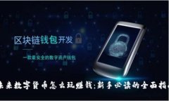 未来数字货币怎么玩赚钱：新手必读的全面指南