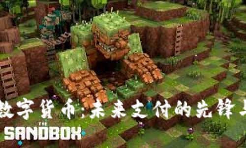 马云数字货币：未来支付的先锋与挑战