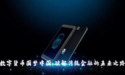 数字货币圆梦中国：破解传统金融的未来之路