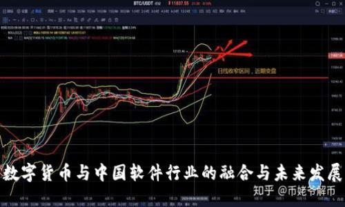 数字货币与中国软件行业的融合与未来发展