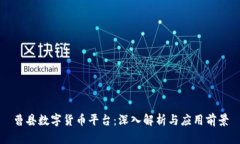 曹县数字货币平台：深入解析与应用前景